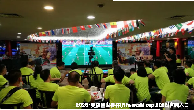 未来愿景与无限可能